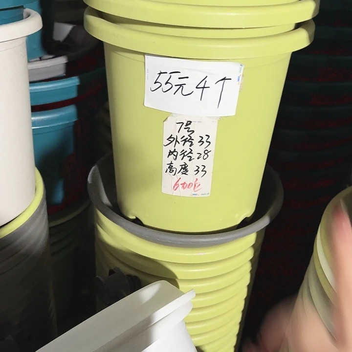 四季7号果绿无托6个特价微瑕