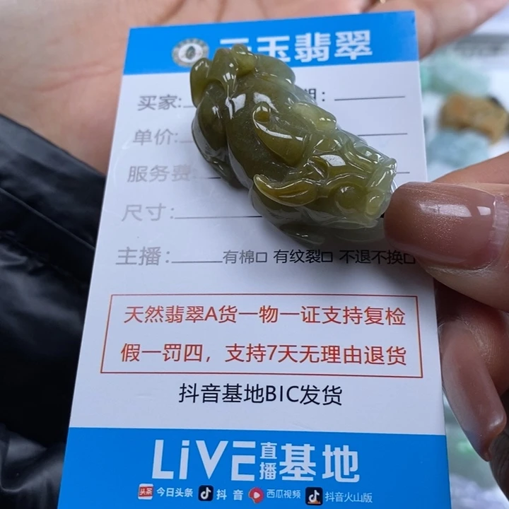 翡翠未镶嵌颈饰多人貔貅