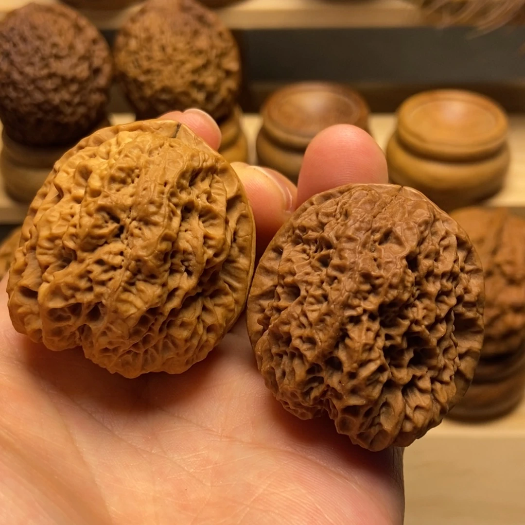 文玩核桃把件天龙古蟾