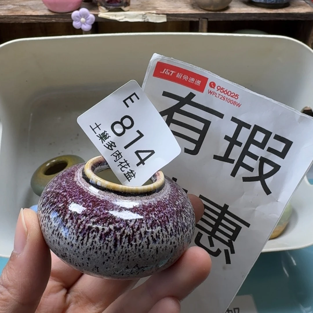 陶瓷艺术设计与制作