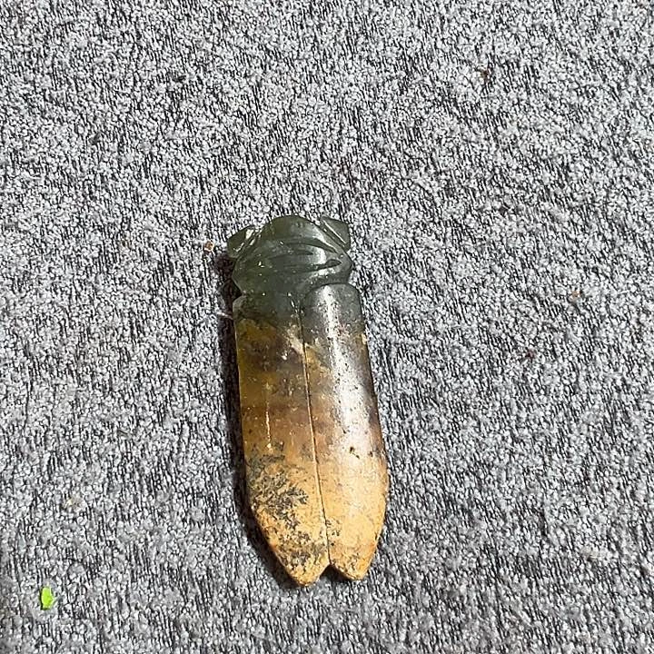 岫岩河磨玉（透闪石质玉）未镶嵌颈饰小玉蝉挂件