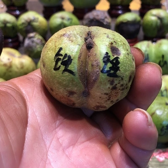 一***年吊坠桃核核桃核桃