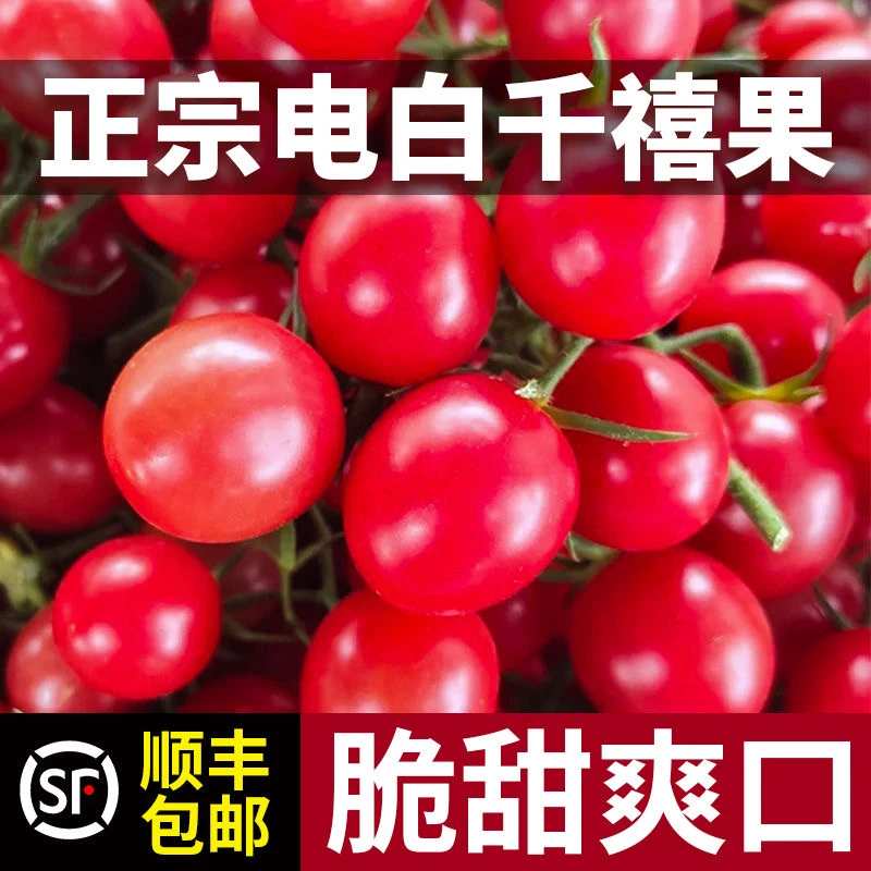 【顺丰包邮】应季正宗广东电白千禧果 新鲜现摘现发圣女果