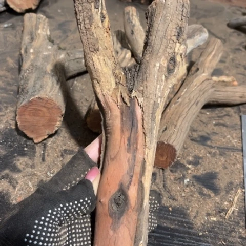 大果紫檀（缅甸花梨）好***字