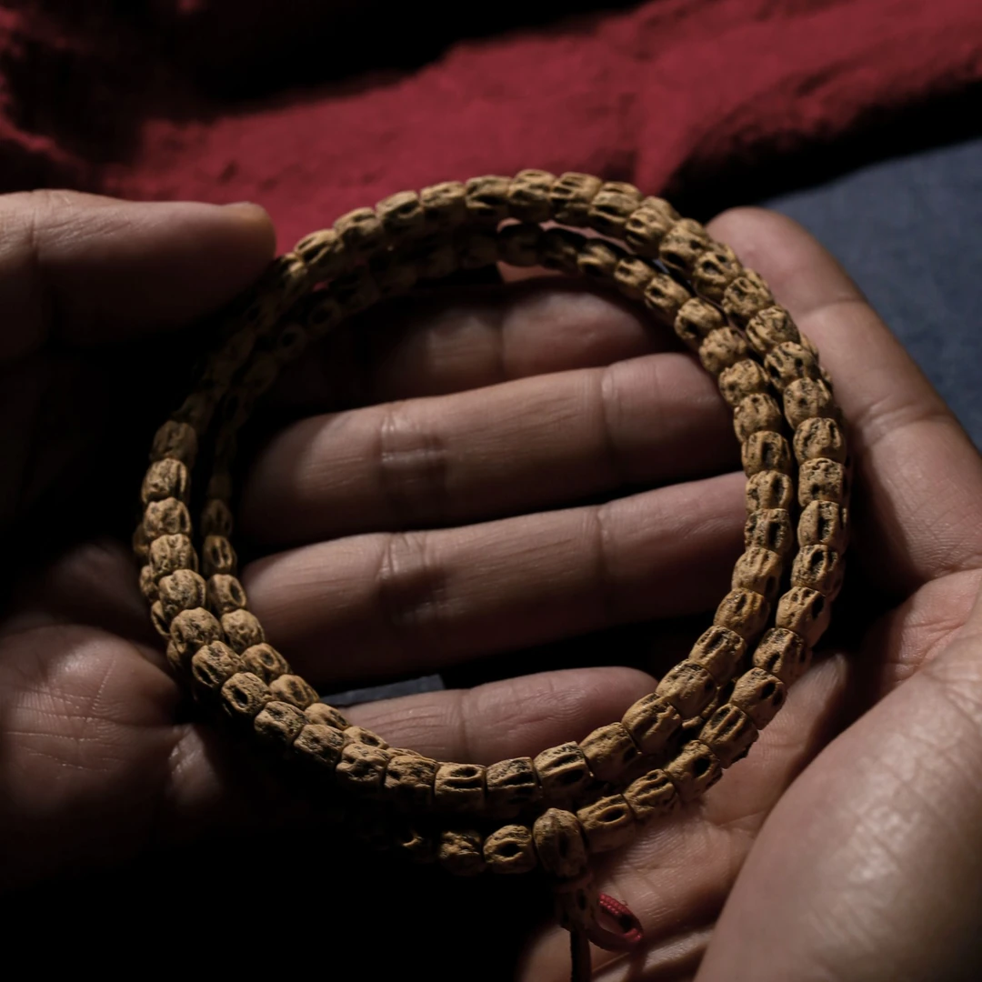 【长腿方块尸陀林】S金标直切长腿方块尸陀林高油密热振百香籽长串