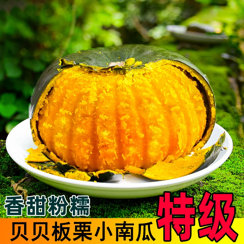 正宗贝贝南瓜板栗口感 低糖粗粮宝宝辅食 农家自种山东板栗小南瓜