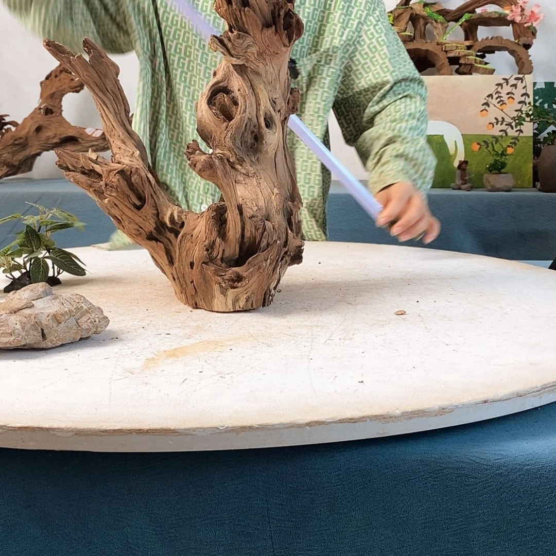 沉木造景寄居蟹景