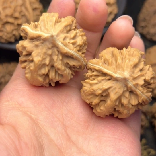 文玩核桃吊坠秦岭核桃8