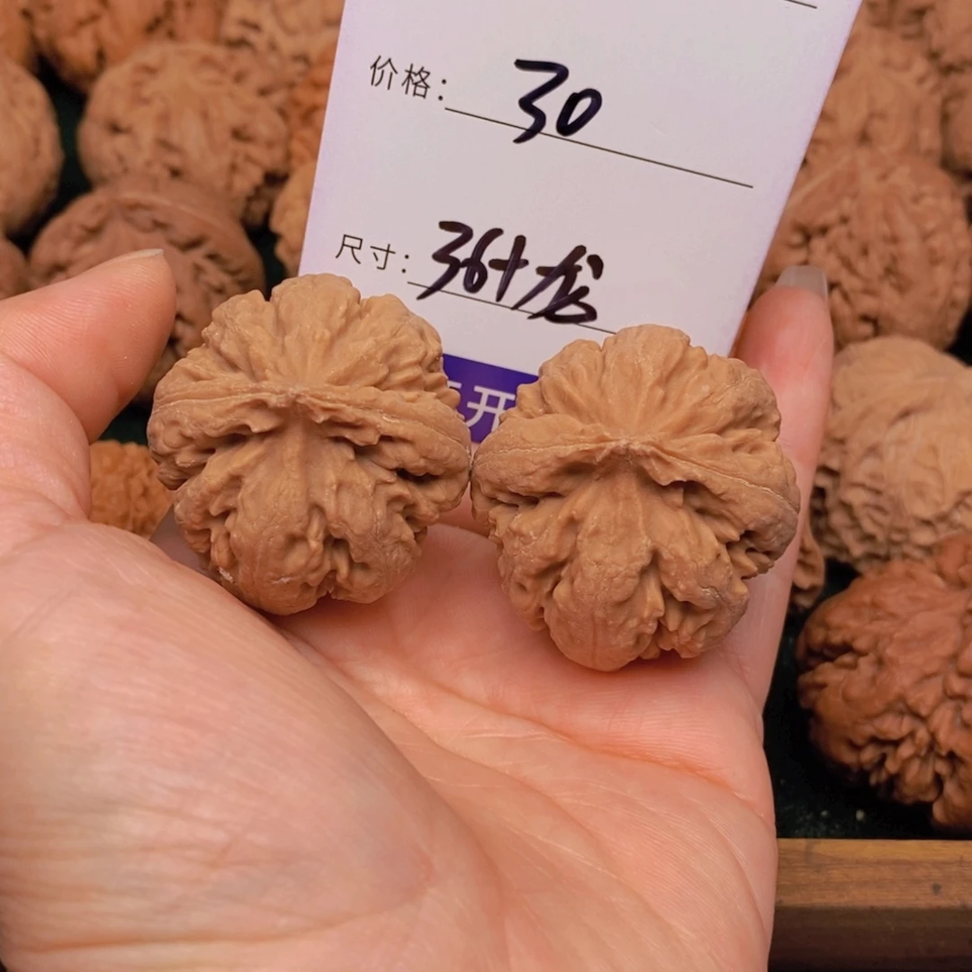 北***星文玩核桃霸王龙核桃