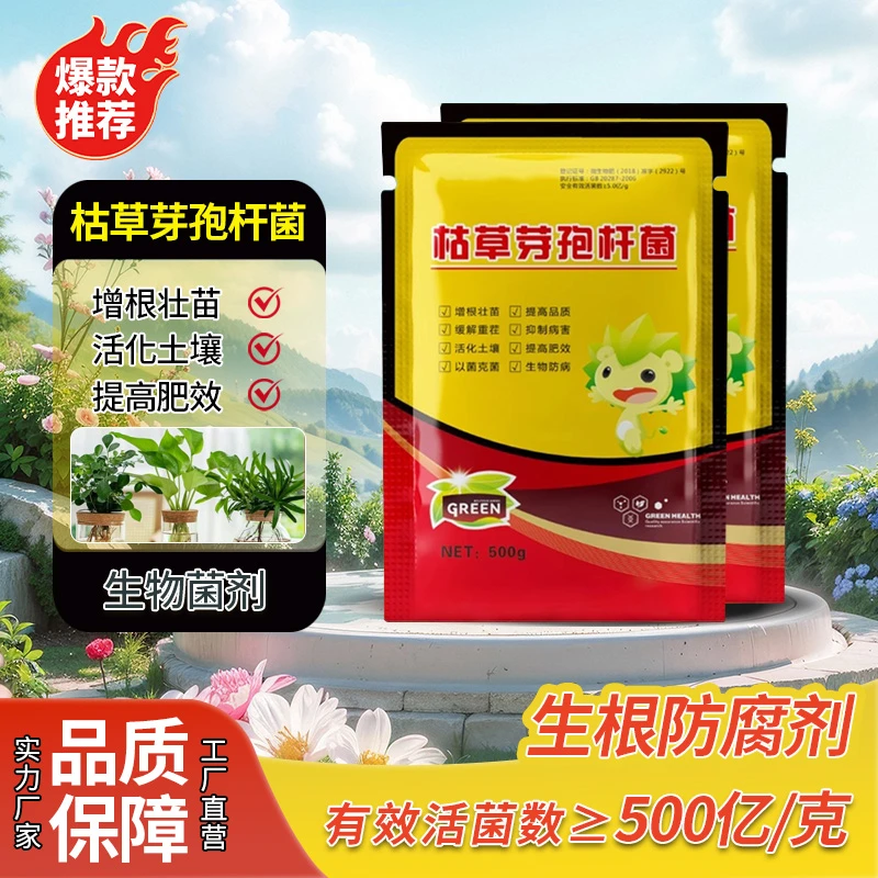 枯草芽孢杆菌菌剂疏松土壤促花植物兰花桂花绿植花卉