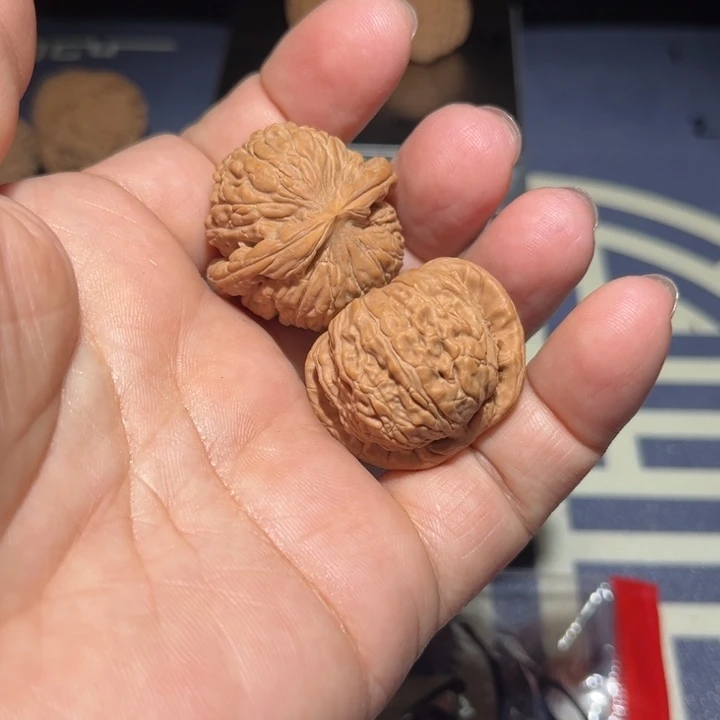 文玩核桃吊坠扎**z白狮子