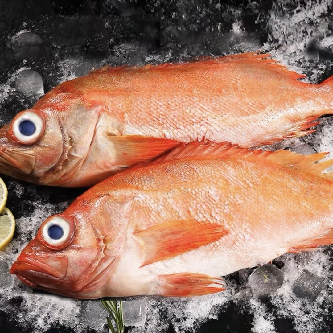 连云港 鲜活速冻8 深海红石斑鱼 400g-600g-750g/条