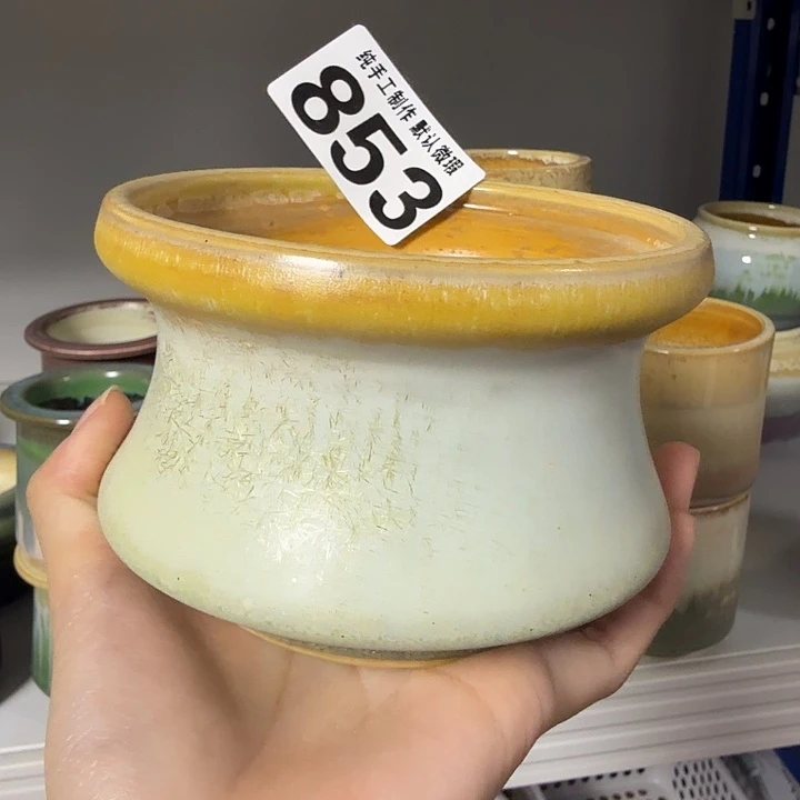 全场9折 满30包邮 口10