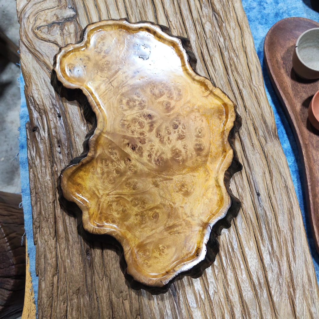 黄金樟树榴小干泡30*18*2厘米