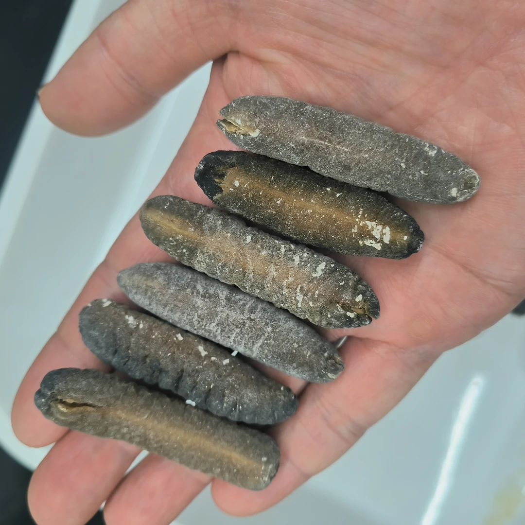[精选]斯里兰卡80头明秃.淡干货.软儒厚肉.泡发率8倍以上海参干货