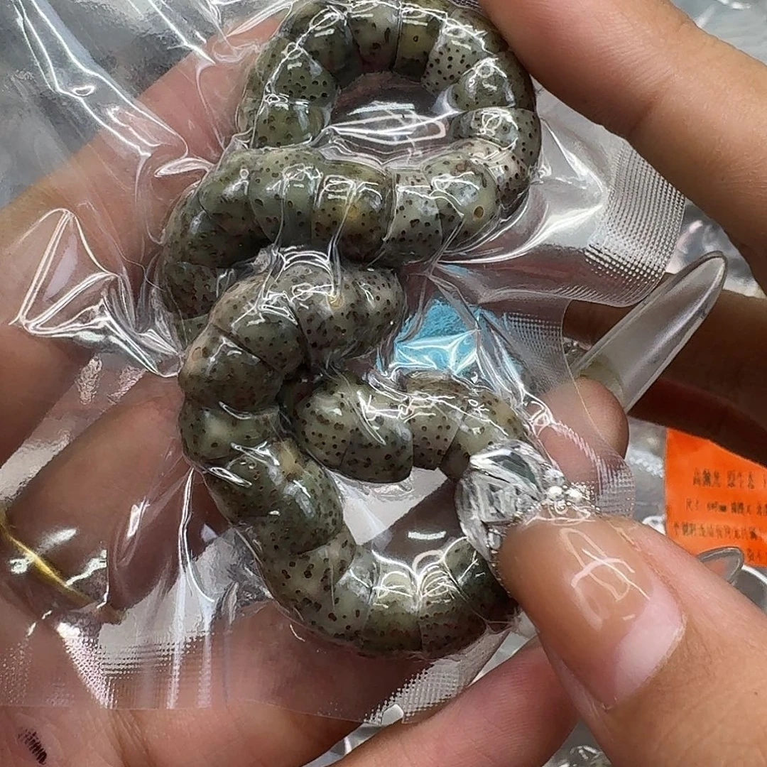 手串星月菩提231荣耀绿星月菩提猪大肠10单圈