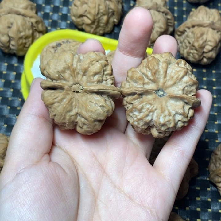 大***王把件文玩核桃蛤蟆头39