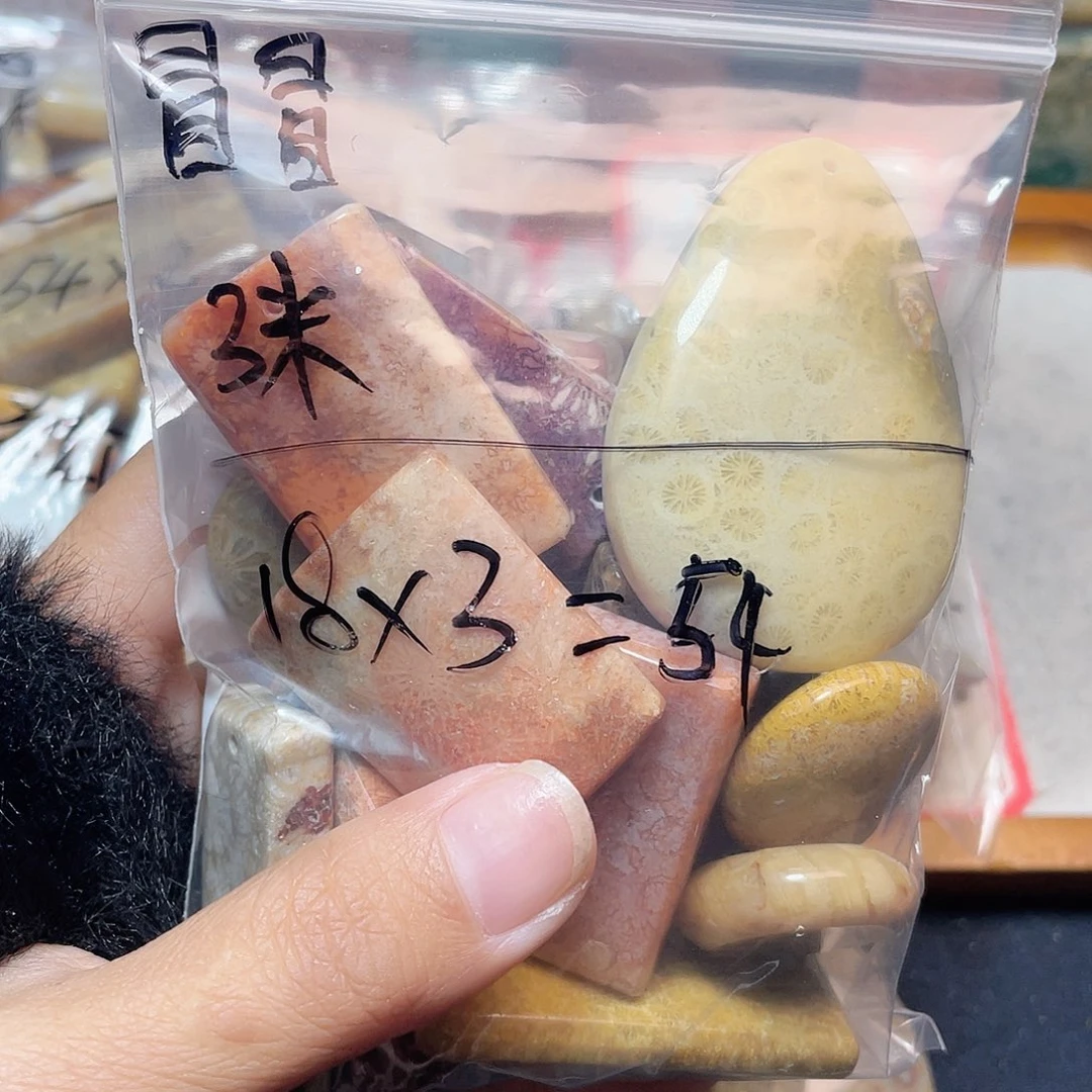 冒***冒硅化珊瑚（珊瑚玉）合金颈饰