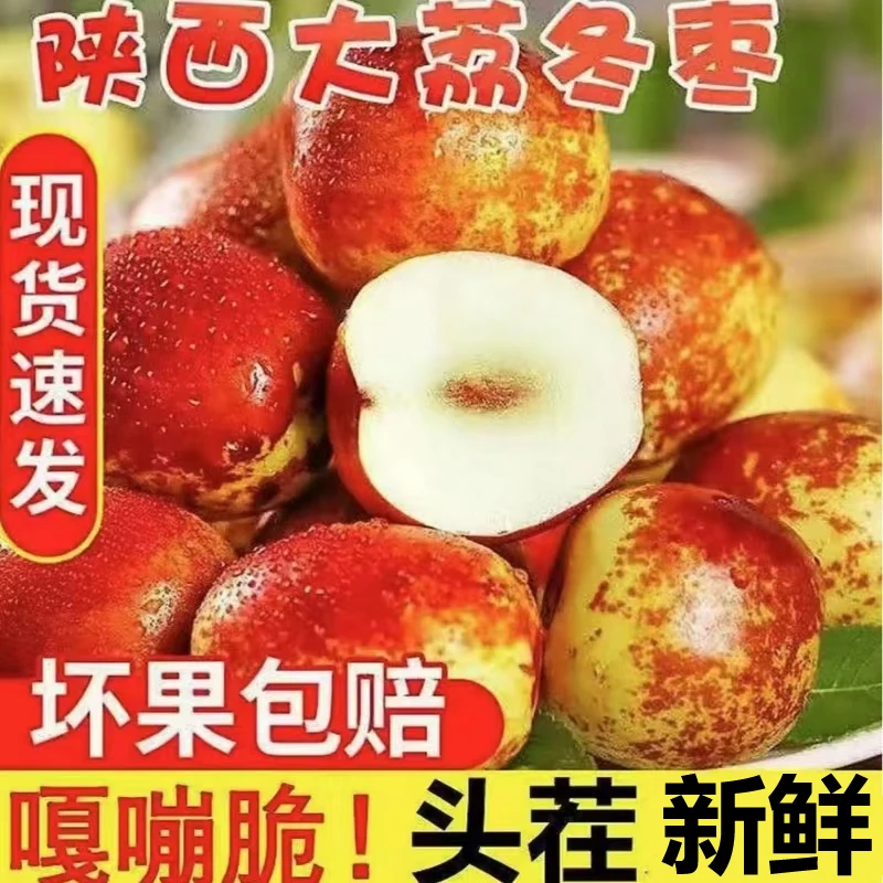 《DS1》陕西大荔新鲜现摘冬枣产地直发香甜脆爽应季水果