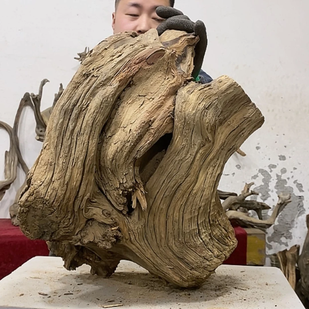 【闪购商品】柏木展****）我们都是好孩子