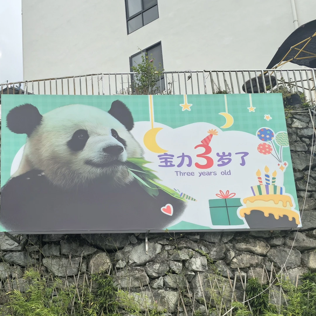 大熊猫小奇迹宝力青宝周边