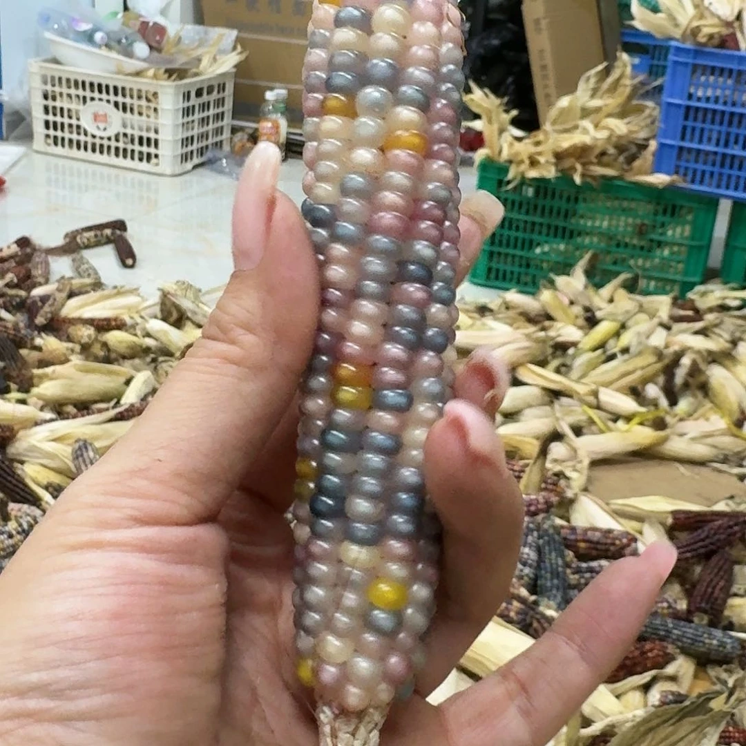 柏香籽/百香籽吊坠吴*默