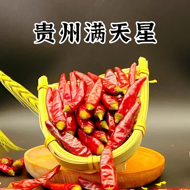 贵州本地满天星(特辣特香)农家小米椒辣椒产地发货精品挑选