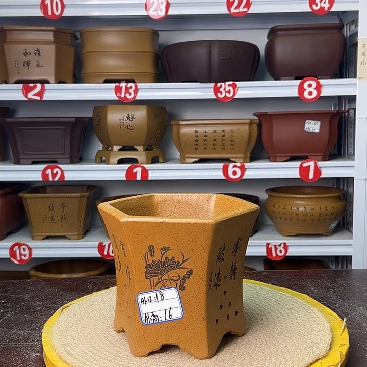 紫砂花盆你在一起