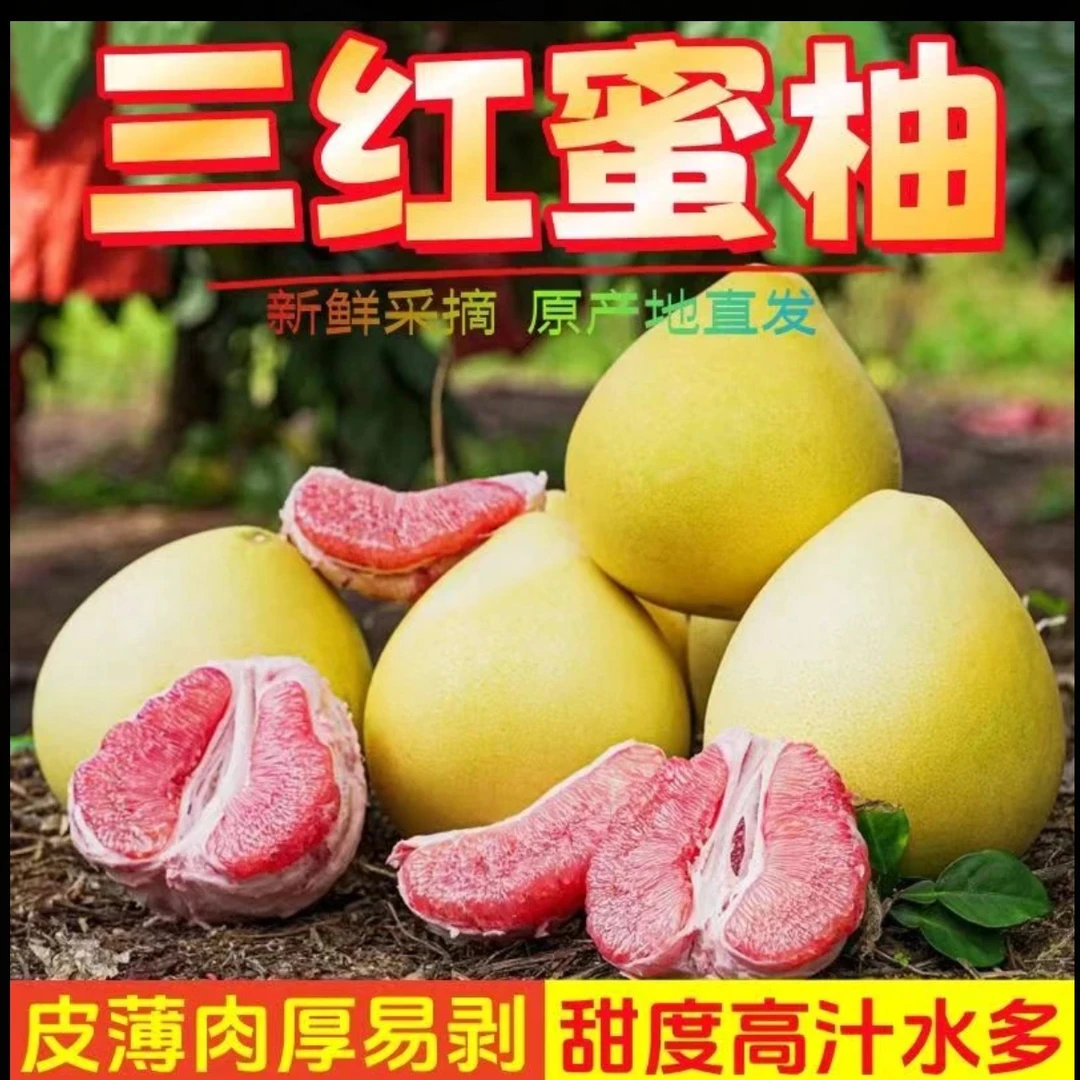 【正宗三红柚】福建平和三红蜜柚 清甜多汁 个大饱满 现摘现发