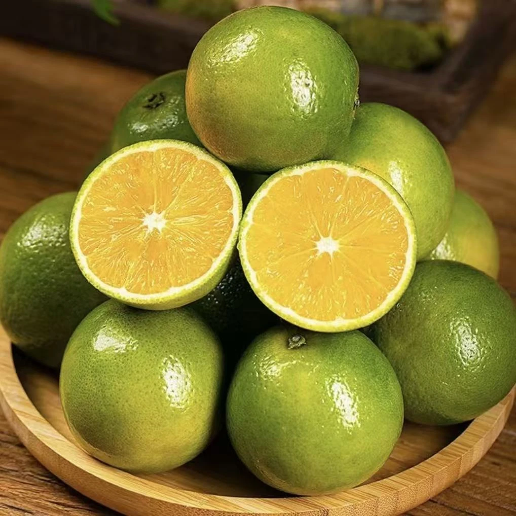 云南哀牢山冰糖橙青皮橙子新鲜采摘香甜可口产地直发包邮