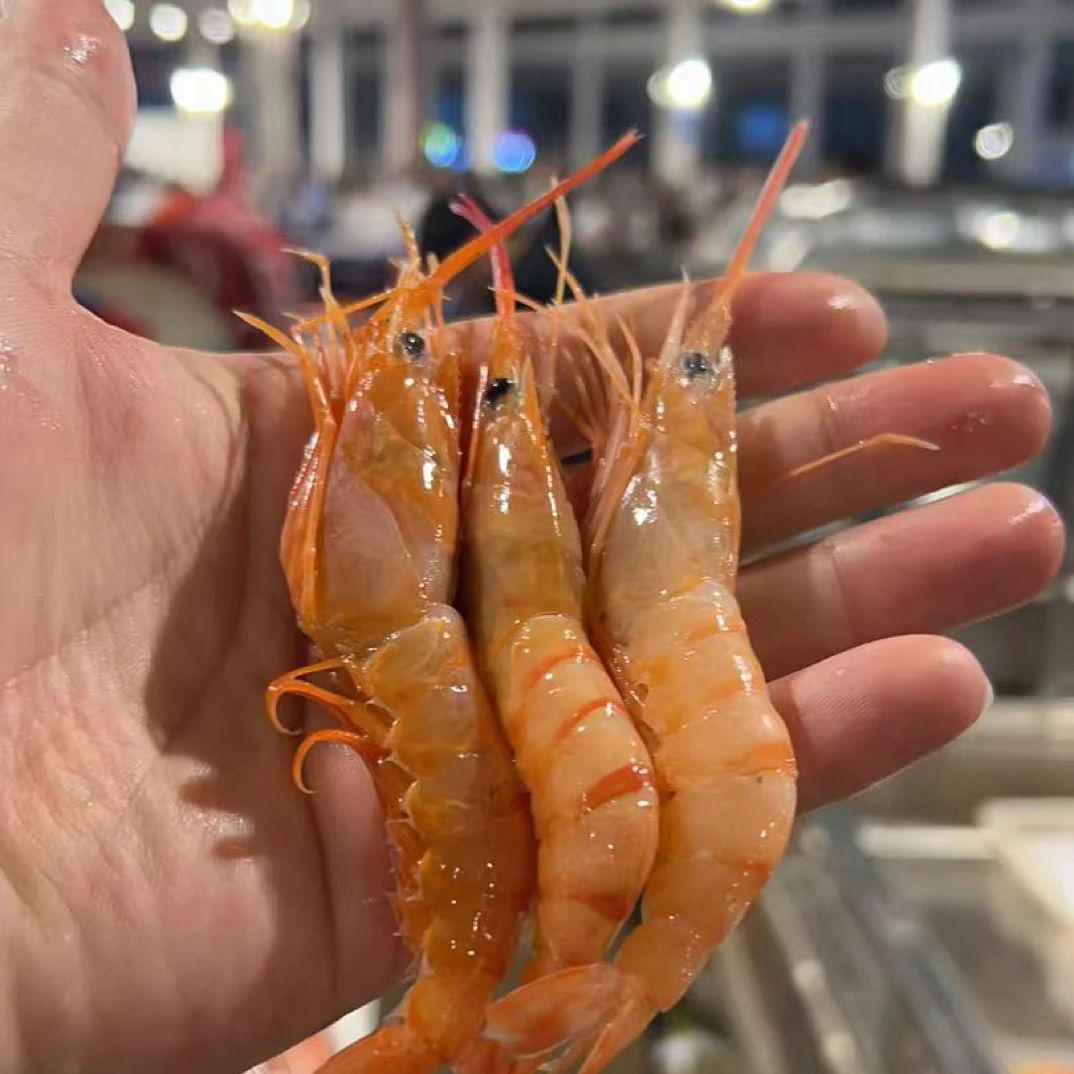 【三大金红虾4斤】东海甜虾三大金东海红虾新鲜海捕海鲜新鲜美味虾