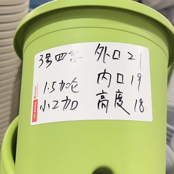 特价3号四季口21高18果绿无托10只