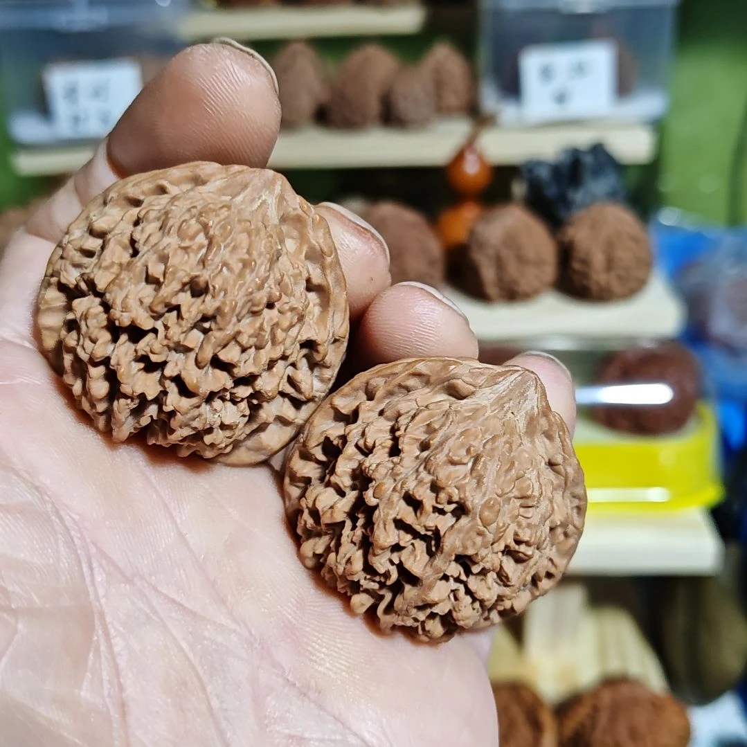 41尺寸满天星，狮子头