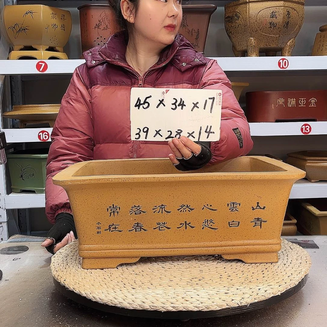 紫砂花盆紫砂花盆