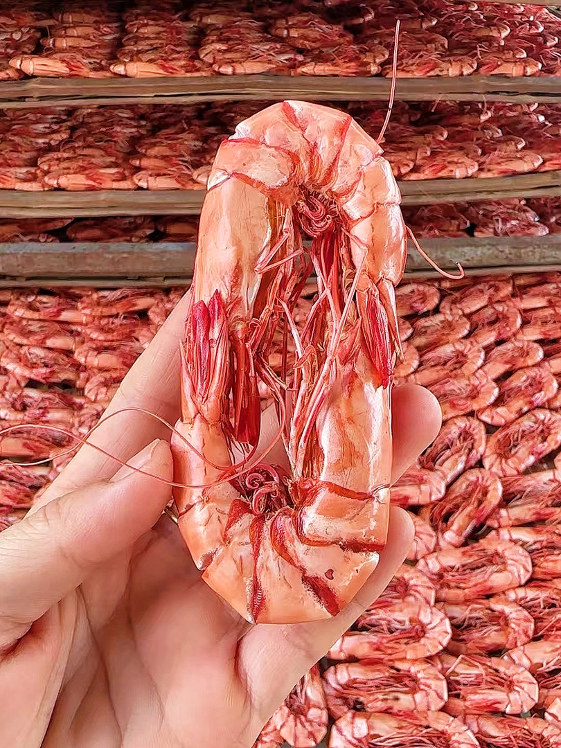 16型即食九节虾特大烤虾斑节虾干开袋即食