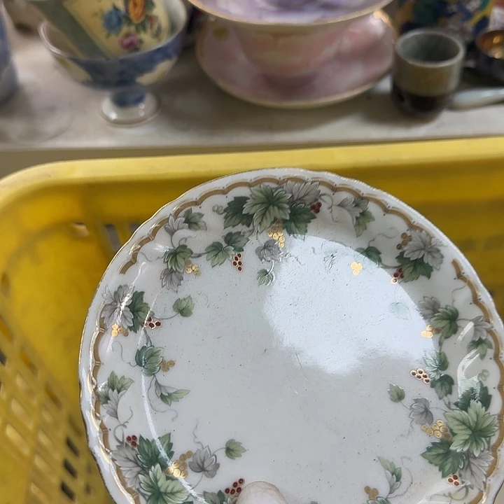 碟开播啦….开播啦