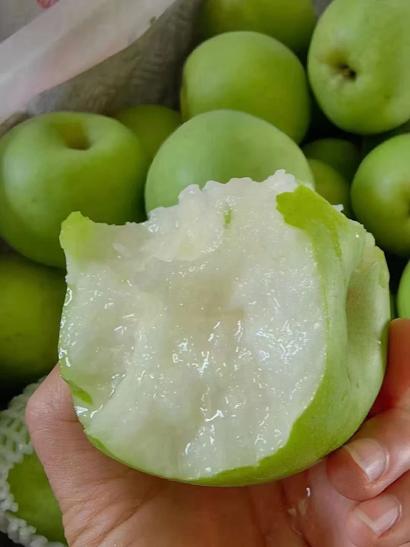 正宗砀山皇冠梨新鲜水果脆甜多汁无渣甘甜爽口