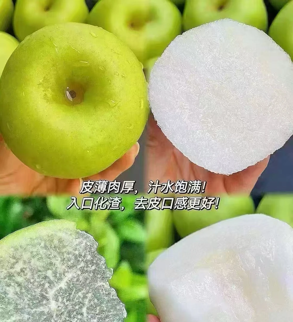 【顺丰包邮】宁波慈溪翠玉蜜梨苹果梨皮薄脆甜核小汁多当季新鲜现发