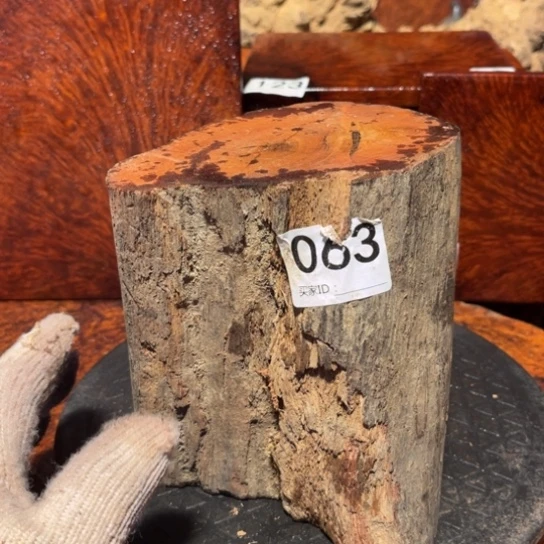 大果紫檀（缅甸花梨）