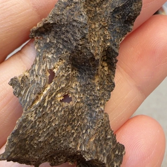 沉香摆件海南沉水吊罗山1.2克