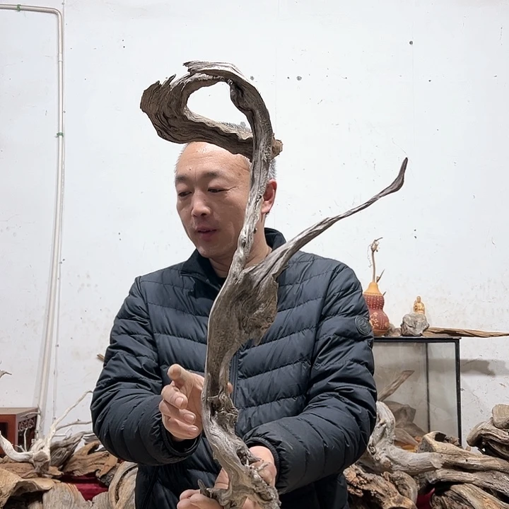 柏木杨**e我们的生活也会