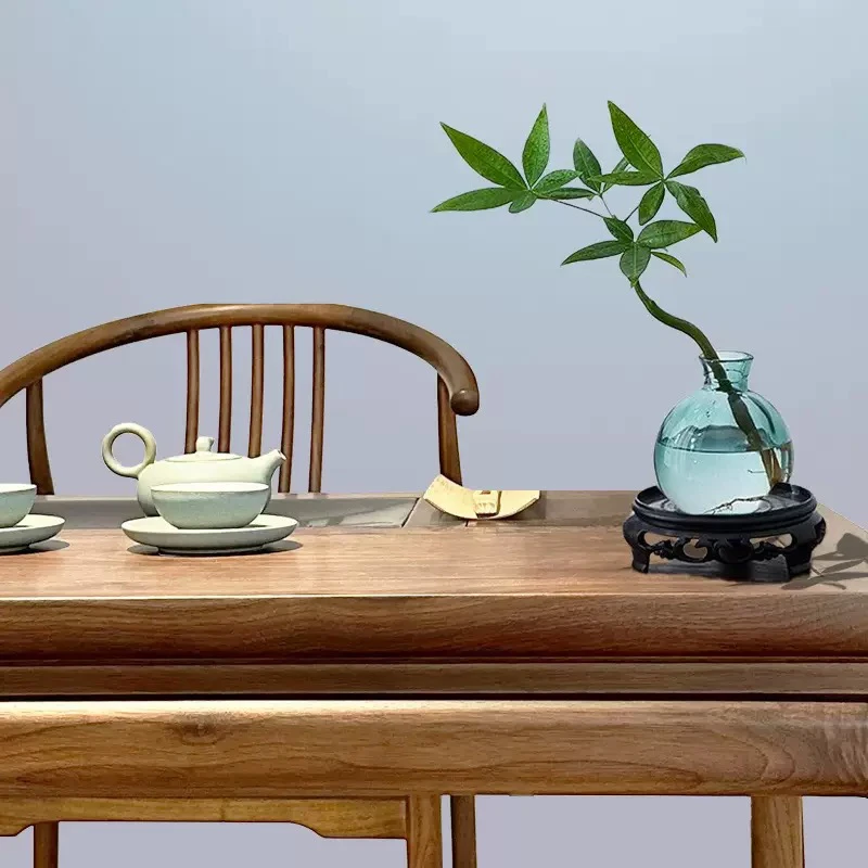 发财树水培植物小盆栽花卉客厅桌面绿植室内四季好养