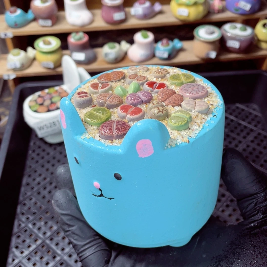 夜间零下地区拍保温箱w5282