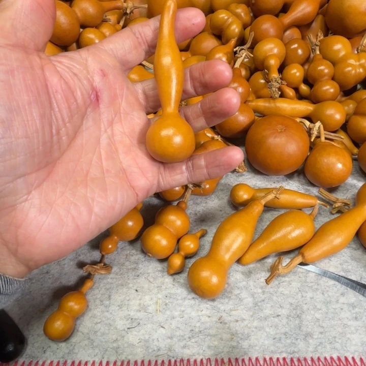 下****下岗体验生活的一把苯甲葫芦