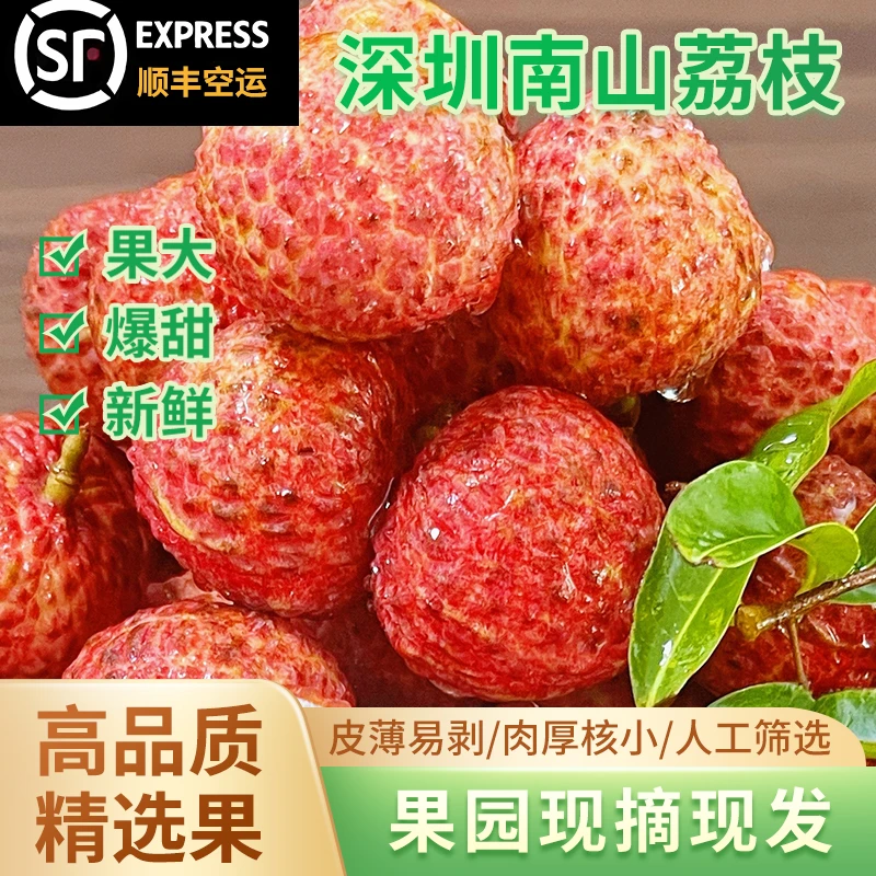 广东深圳南山现摘现发新鲜荔枝顺丰空运包邮夏季糯米糍荔枝小核