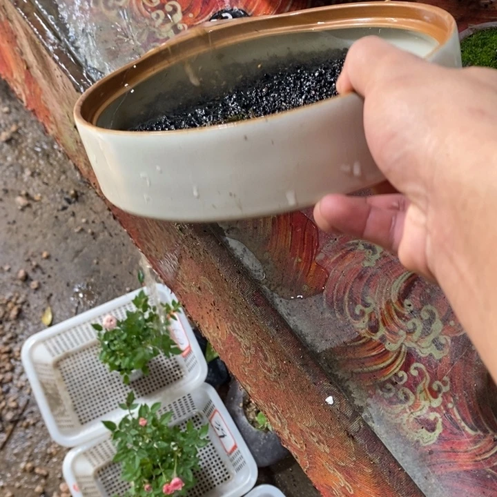 ****꧂无花朵退款拉黑拉黑93