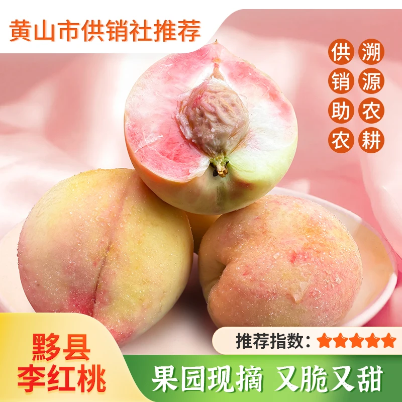 【供销优选】黟县新鲜李红桃 当季时令现摘现发头茬脆桃
