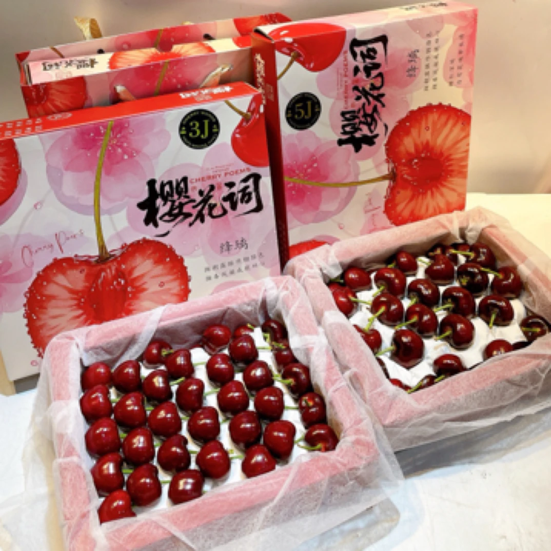 (小美仁优选)大连美早樱桃，新鲜水果，2J到5J净重 1.5斤起美早樱桃
