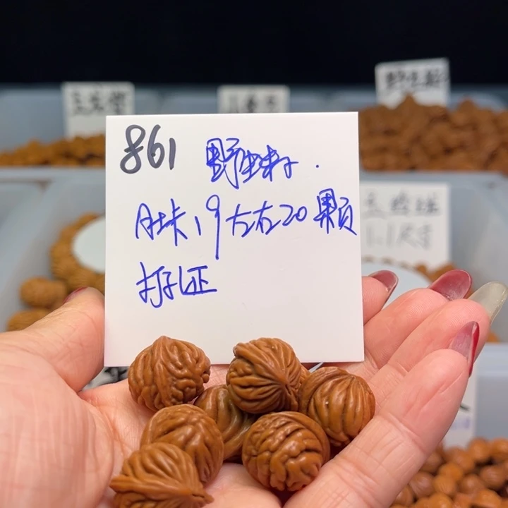 桃核手串野生籽19尺寸20颗