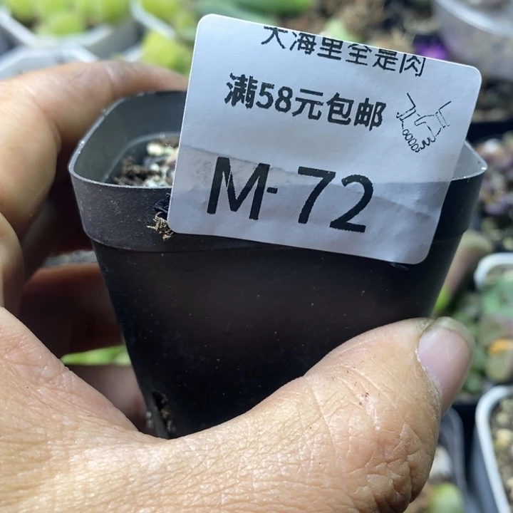 佛***渡4568689989999998998